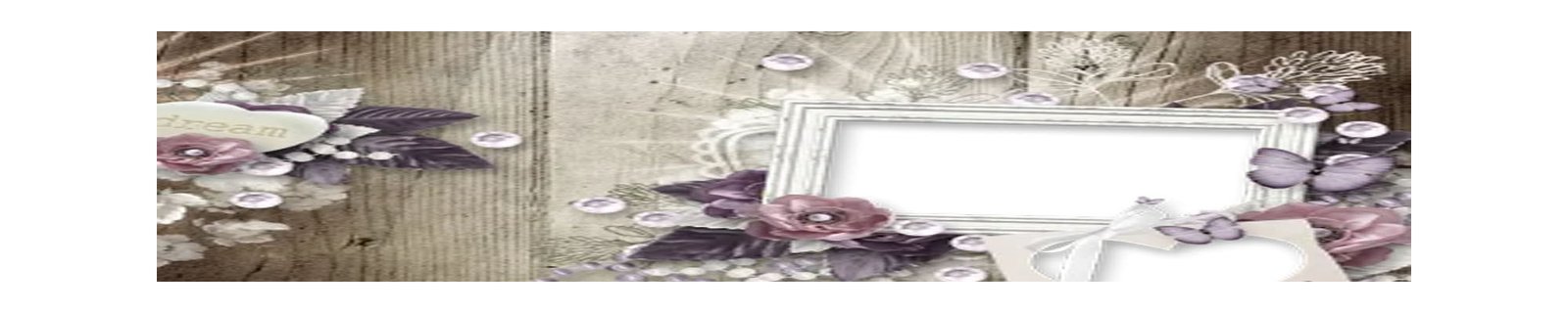 Albums photos Scrap